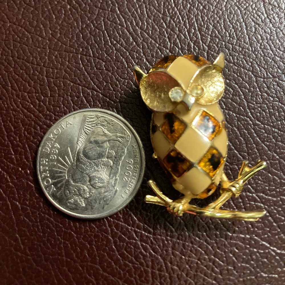Golden and brown owl🦉brooch with a sparkling eyes 👀